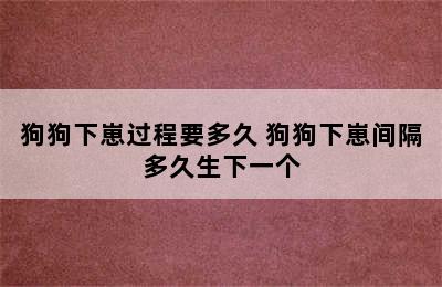 狗狗下崽过程要多久 狗狗下崽间隔多久生下一个